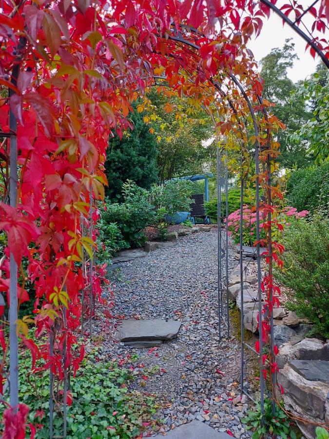Maries Bunte Villa Bad Berleburg Eksteriør bilde